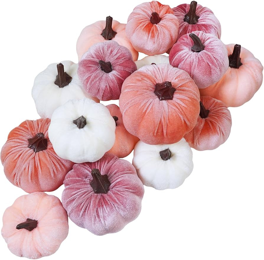 Winlyn 16 Pcs Assorted Artificial Velvet Pumpkins Blush Coral Pink Peach Cream Decorative Fabric ... | Amazon (US)