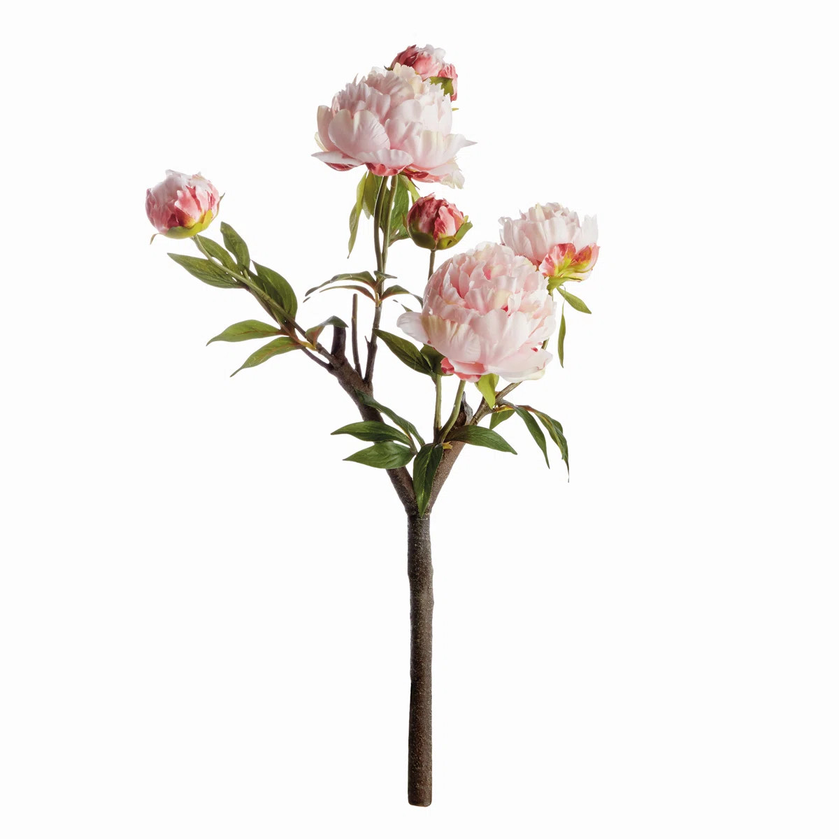 PEONY BRANCH 25inch (Set of 4) | Wayfair North America
