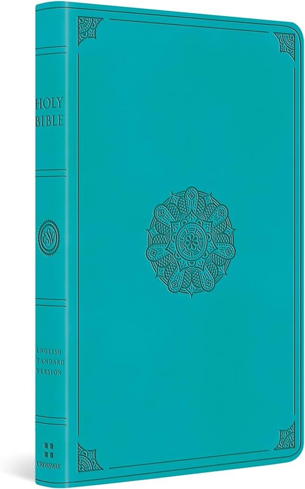 ESV Large Print Value Thinline Bible (TruTone, Turquoise, Emblem Design) | Amazon (US)