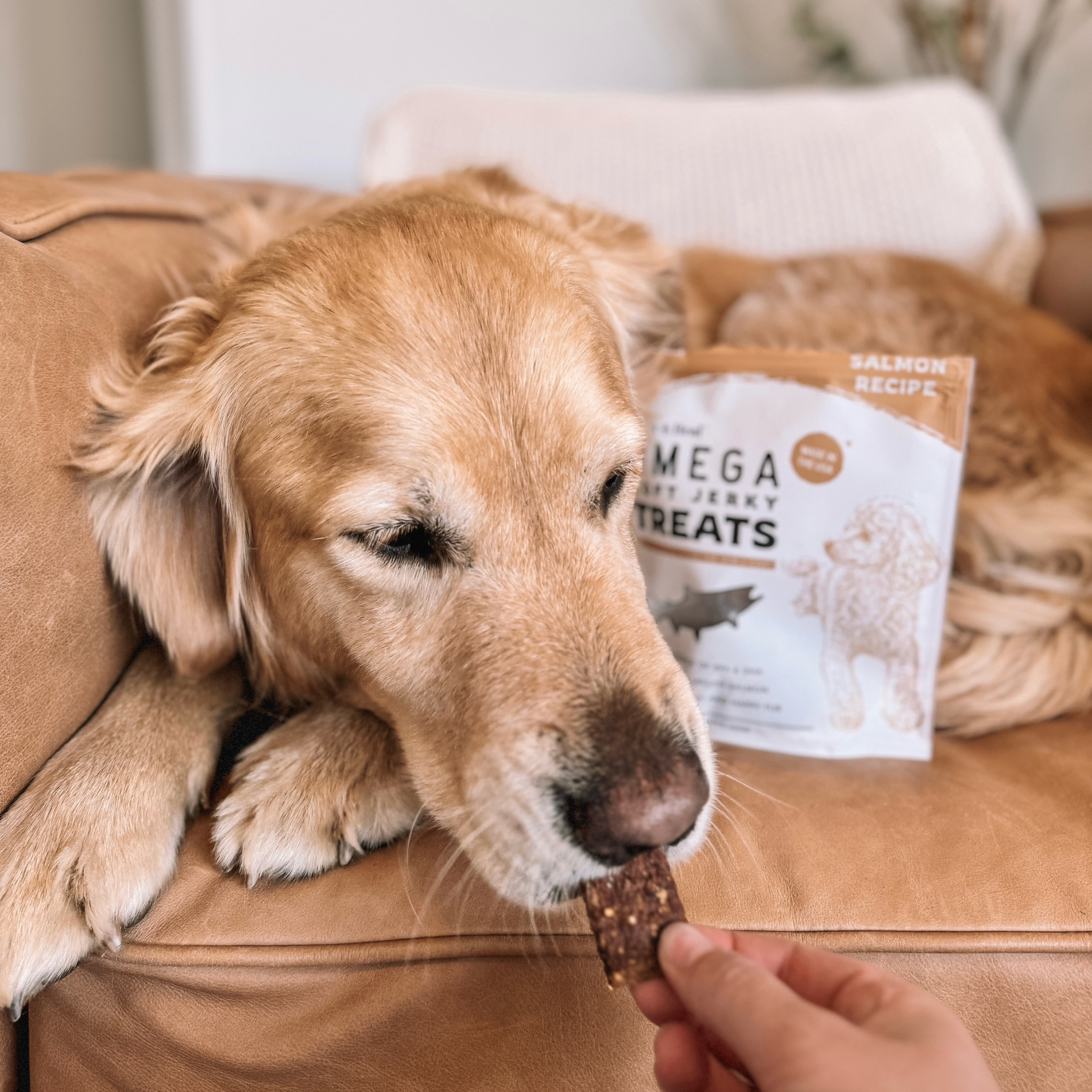 Salmon treatos! 🍣

#LTKFamily #LTKGiftGuide #LTKSaleAlert