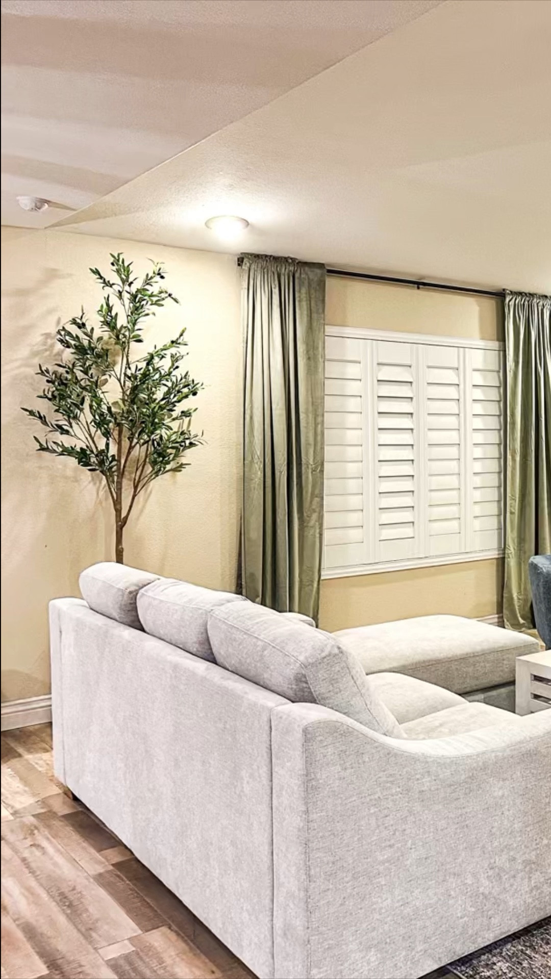 Faux Olive tree on sale!!

#LTKsalealert #LTKVideo #LTKhome