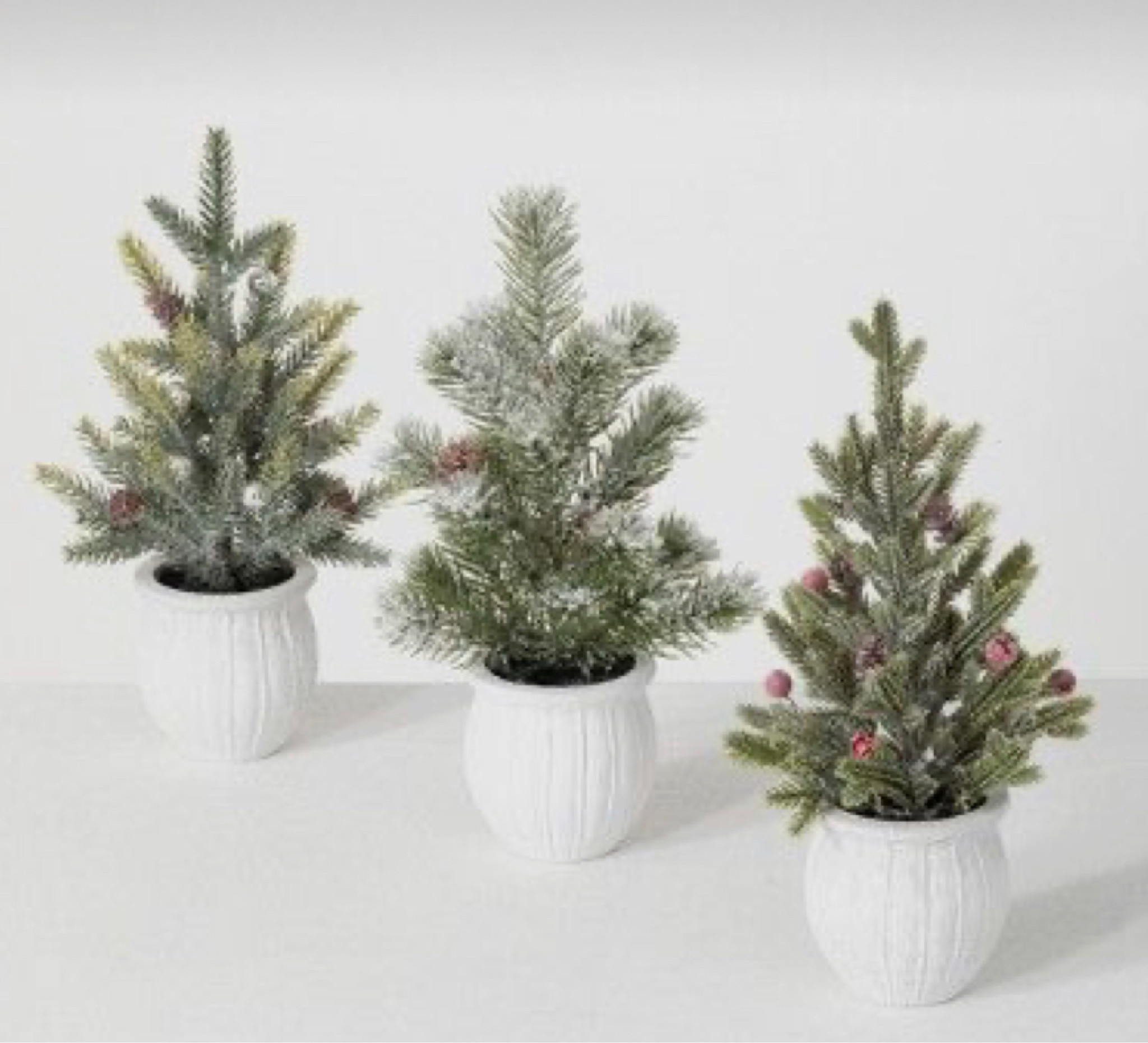 
#home #holiday #holidaydecor #christmas #christmasdecor #minimalchristmas #pinetrees #pinepottedplant #classichome #festivehome #holidayhomedecor #christmashomedecor #christmashome #liketoknowit #decorate #holidaydecorations #decorateforChristmas 

#LTKHoliday #LTKSeasonal #LTKhome