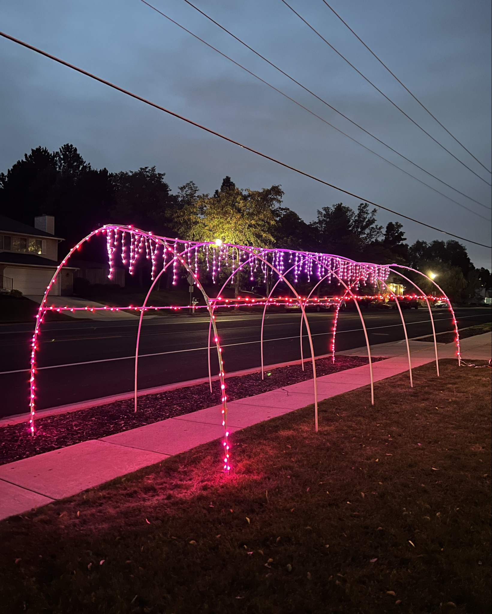 DIY holiday arch! 

#LTKSaleAlert #LTKHoliday #LTKHome