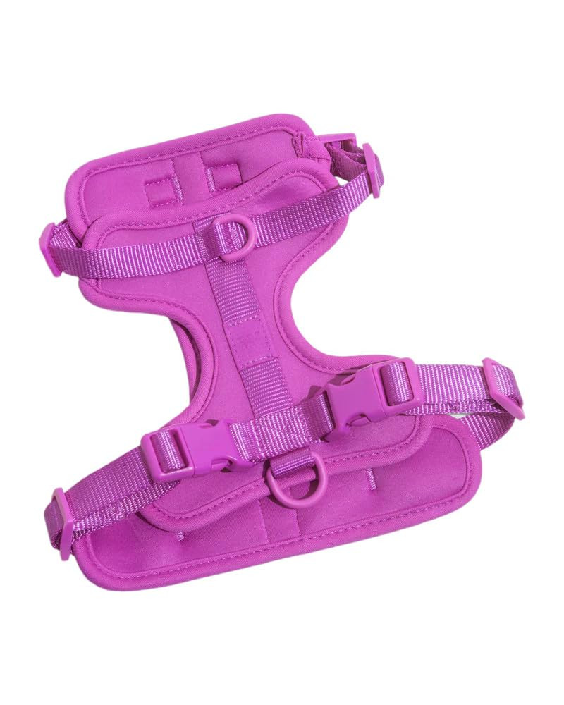 Wild One Dog Harness, No-Pull Pet Harness with 3 Leash Clips, Adjustable Soft Padded Dog Vest, Co... | Amazon (US)