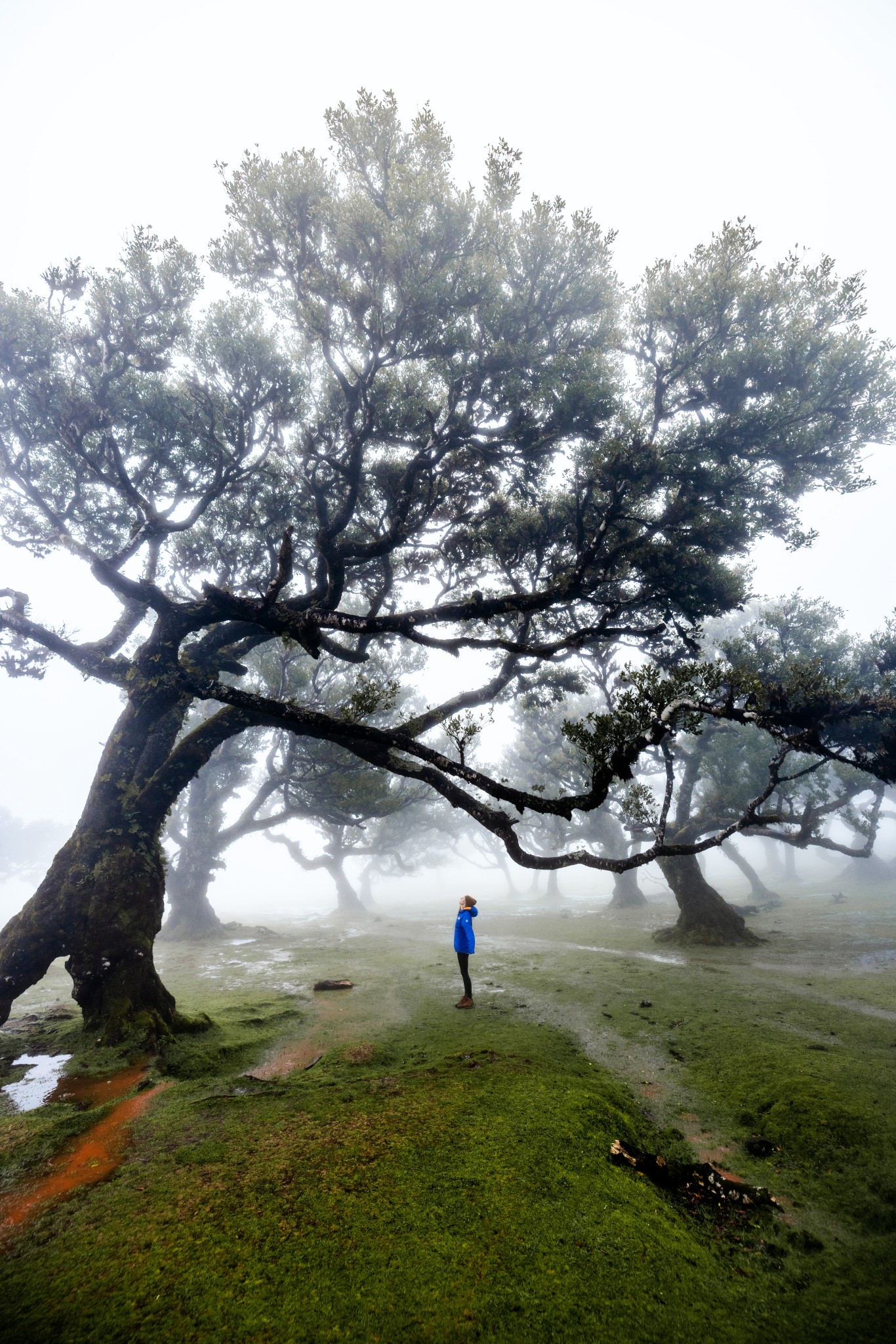 Exploring in Madeira, Portugal 

#LTKStyleTip #LTKActive #LTKTravel