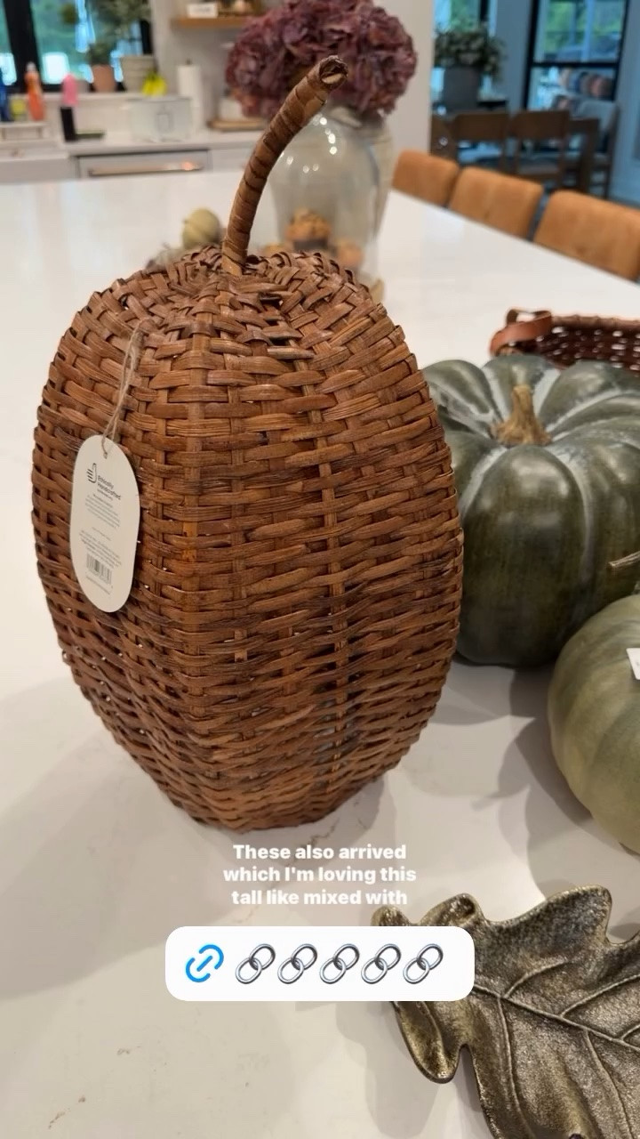 The @Target finds I’m loving this year for fall!

#LTKSeasonal #LTKHome #LTKdayinmylife