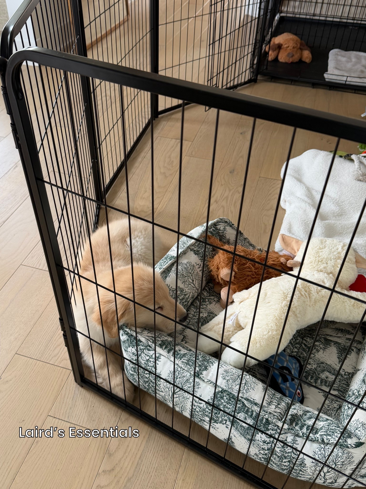 [11/11/25] all the essentials we got for Laird and truly everything has been put to use! If you have any “must-haves” please share! 

*dog bed is home goods + some of his other toys! 

#LTKFindsUnder100 #LTKHome #LTKPets