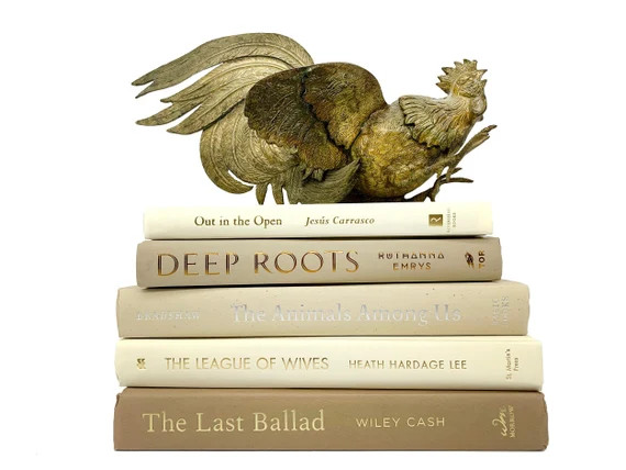 Bundle of Beige, Ivory, Tan Decorative Books - Staging Books Color Bundle - Cream Home Decor Stac... | Etsy (US)