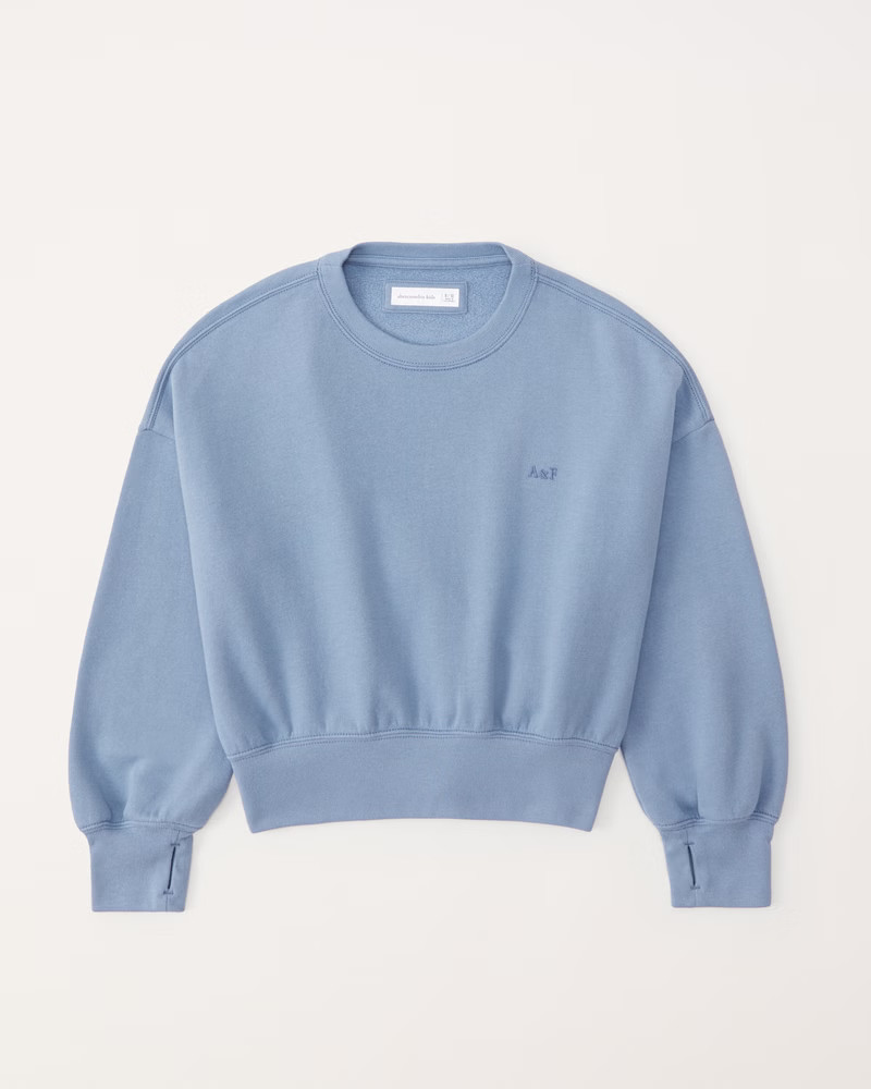 essential crew sweatshirt | Abercrombie & Fitch (US)