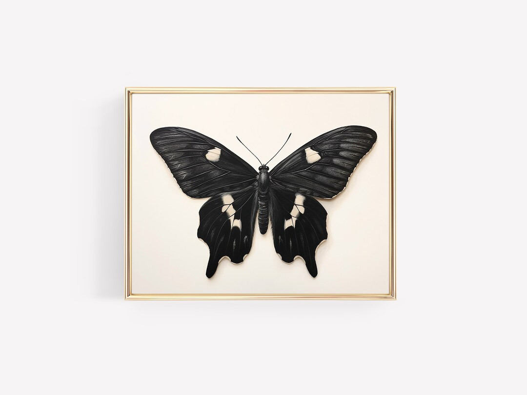 Vintage Halloween Print Dark Academia Black Butterfly Moth Fall Print Halloween Decor Modern Vint... | Etsy (US)