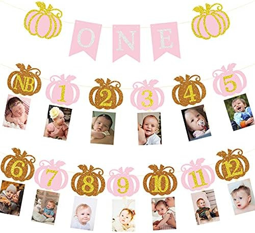 Pink Pumpkin Photo Banner 12 Month Photo Banner for first birthday Pumpkin 1st Birthday Photo Banner | Amazon (US)