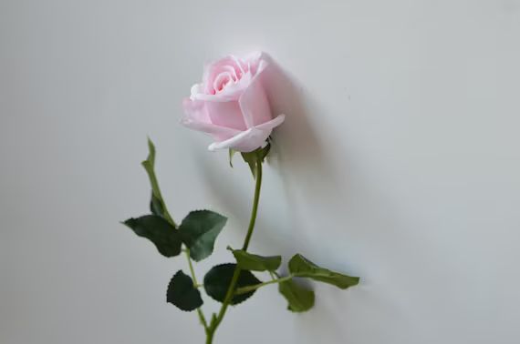 Light Pink Roses Real Touch Medium Roses DIY Wedding - Etsy | Etsy (US)
