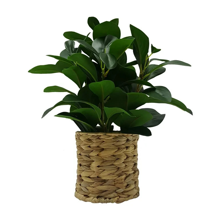 Better Homes & Gardens 13" Artificial Peperomia Plant in Natural Wicker Basket | Walmart (US)