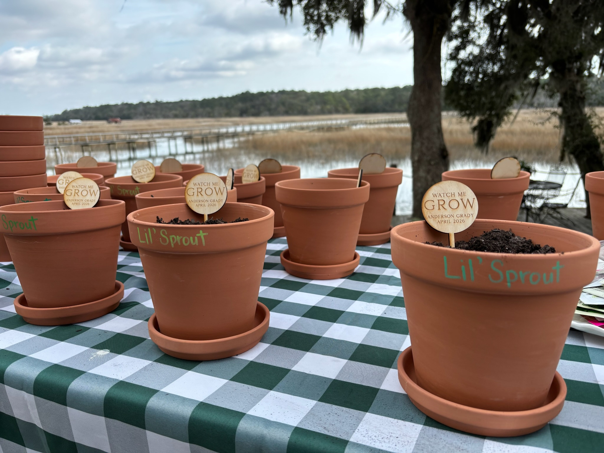potting plants with this cute setup - perfect idea for baby shower  

 #LTKSpringSale #LTKSeasonal #LTKKids