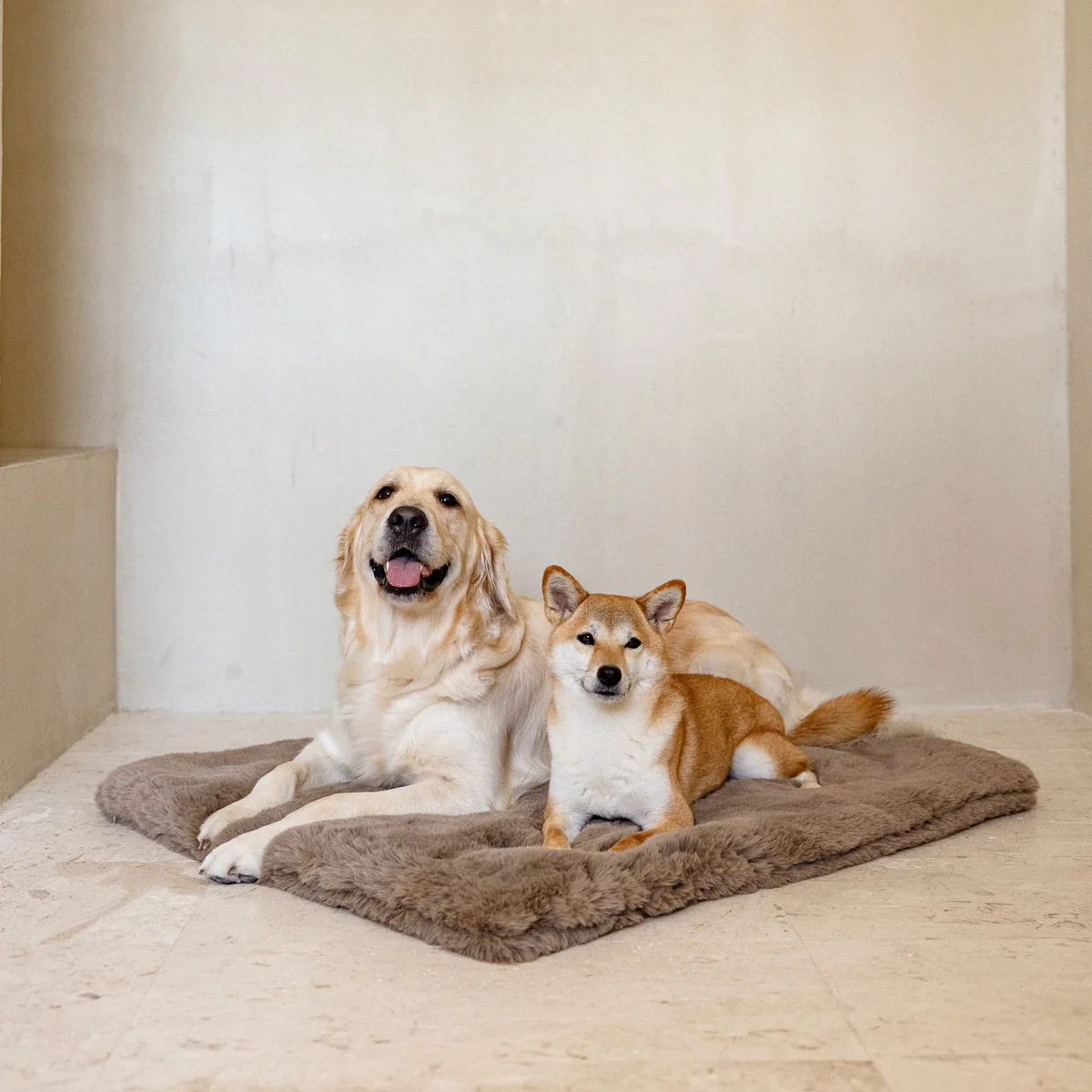 The Lola Pet Pad | Lola Blankets