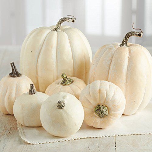 Factory Direct Craft 7 Assorted Size Harvest Off White Artificial Pumpkins | Amazon (US)