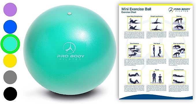 Mini Exercise Ball - 9 Inch Small Bender Ball for Stability, Barre, Pilates, Yoga, Core Training ... | Amazon (US)