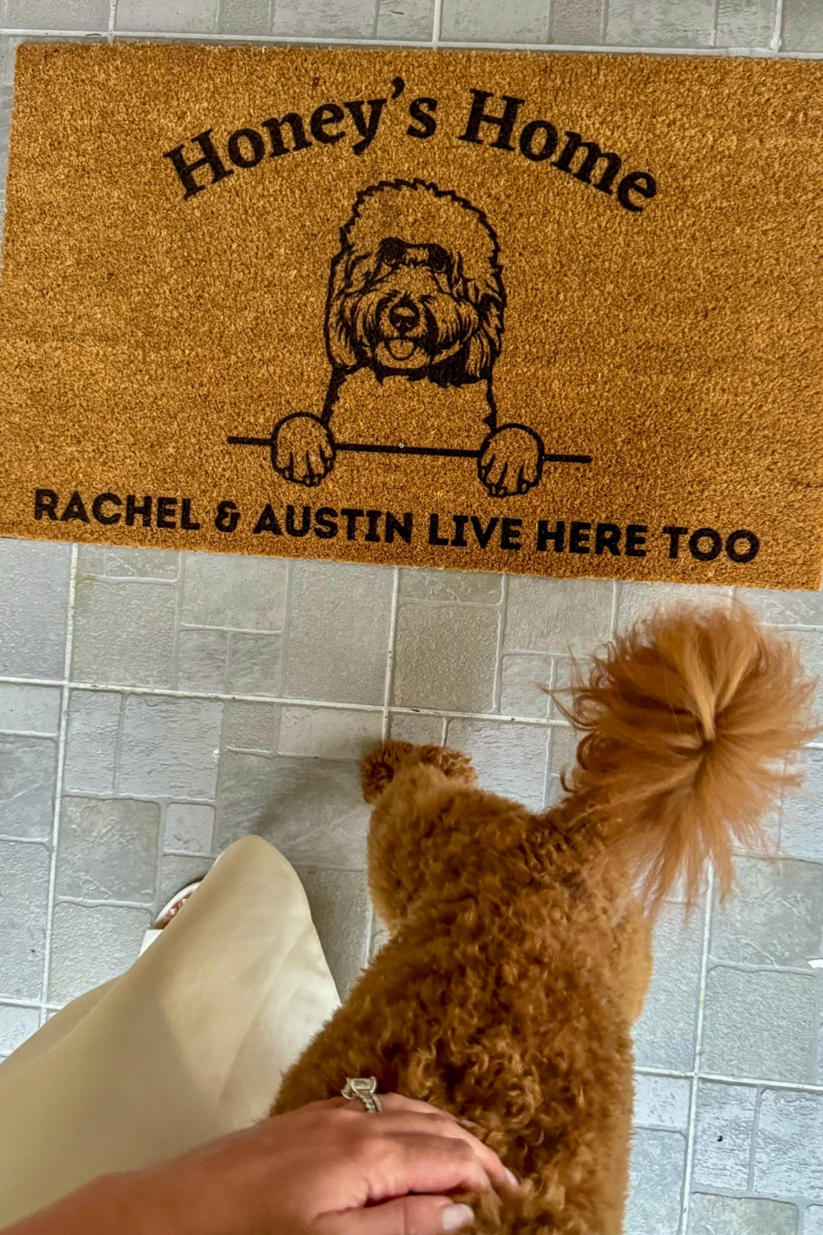 Our new front door mat 🏡 I thought this was so cute and beyond accurate 🫶🏼

#LTKFindsUnder50 #LTKHome #LTKSaleAlert