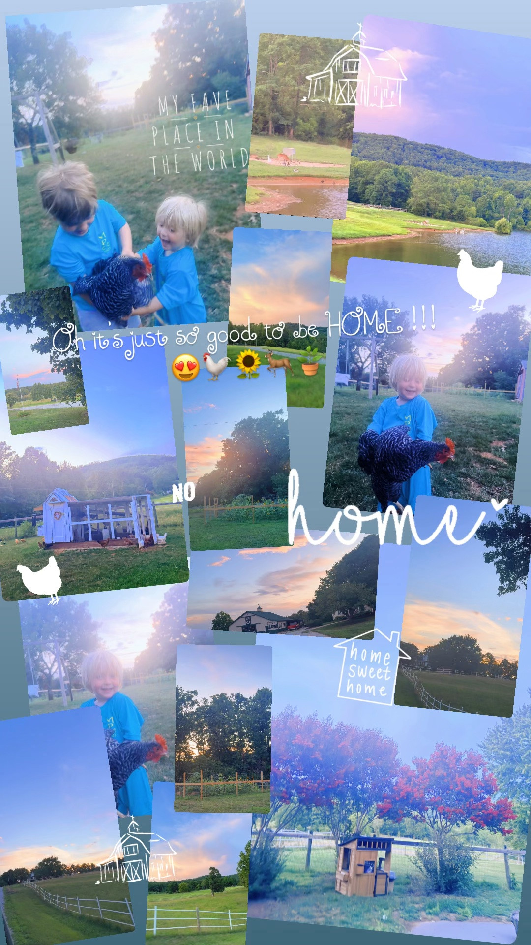 Truly no better feeling than coming back home sweet home to the farm 🚜🌾🌳🌅🇺🇸🐓 Oh it’s just so good to be HOME !!! 😍🐓🌻🦌🪴