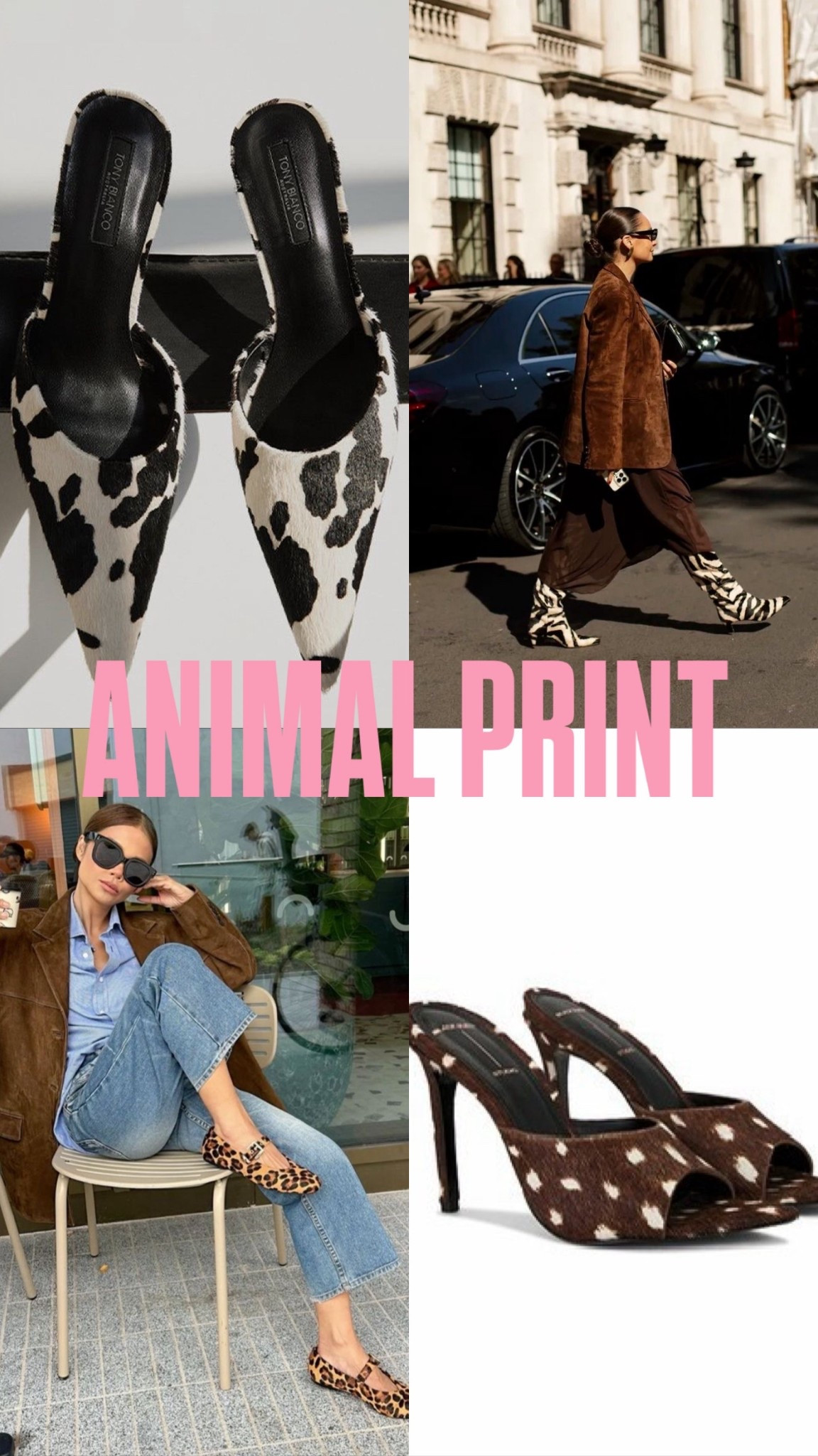 WHATS IN IS ANIMAL PRINT