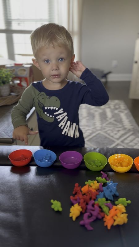 My 2 year old loves sorting his 🦕 🦖 and learning his colors! #sortinggame #learninggame #toddler #prek

#LTKkids #LTKBacktoSchool #LTKfamily