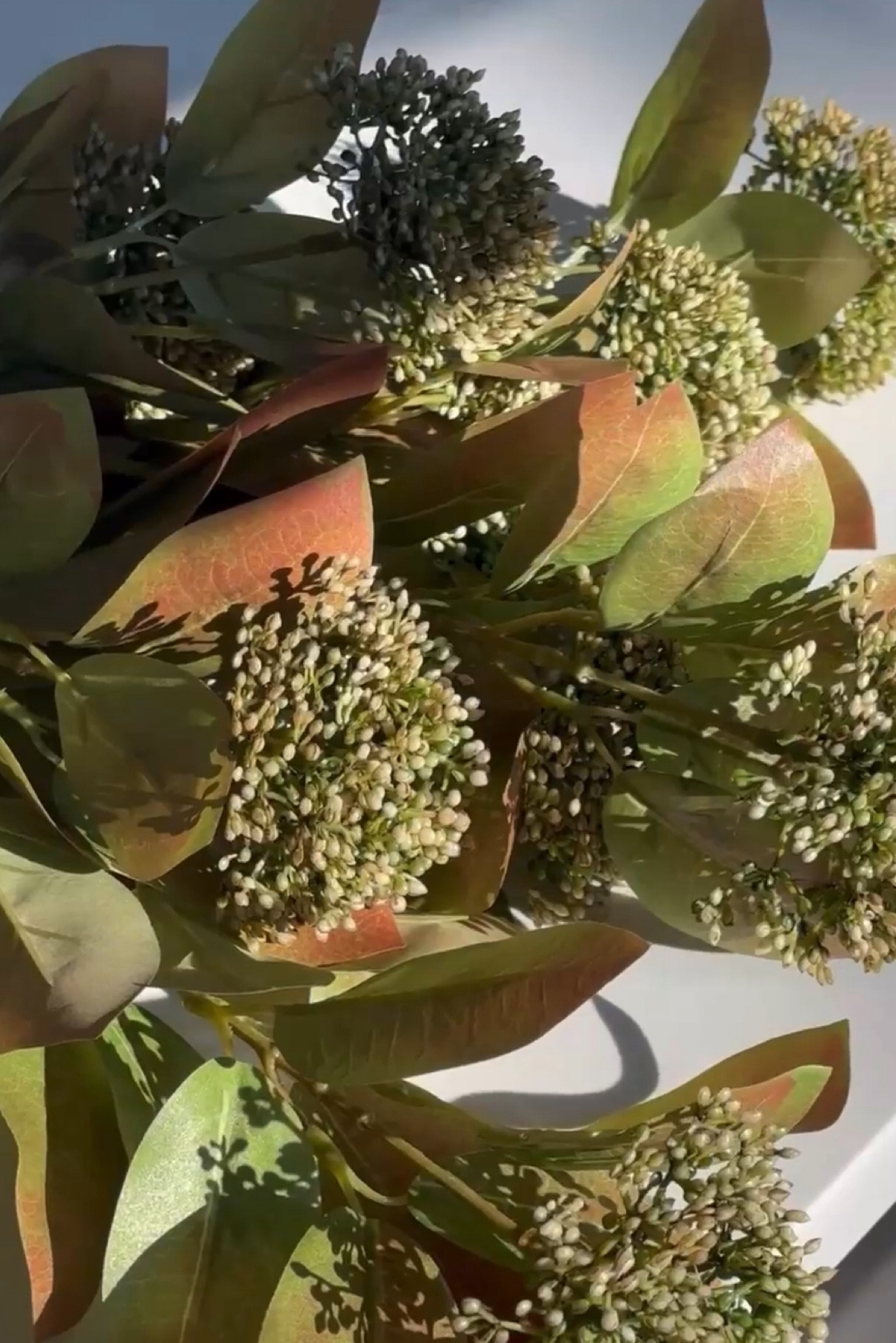 Fall stems for under $5! 

#LTKautumn #LTKstyletip