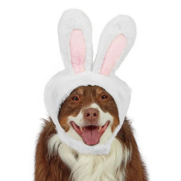 Vibrant Life Easter Bunny Ears for Dogs, White, L | Walmart (US)