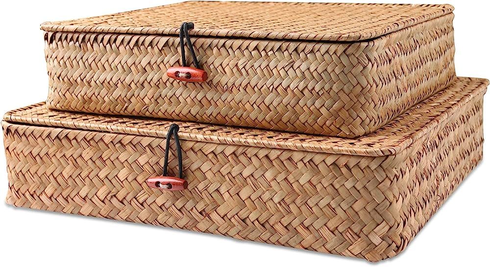 FEILANDUO Shelf Baskets with Lids Wicker Storage Baskets for Shelves Organizing Natural Seagrass ... | Amazon (US)