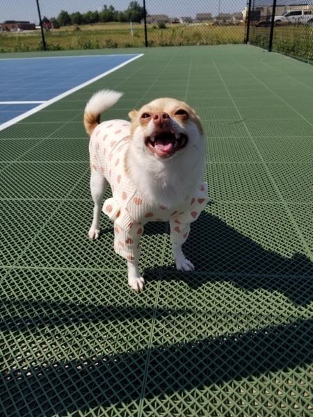 pickleball cheerleader 