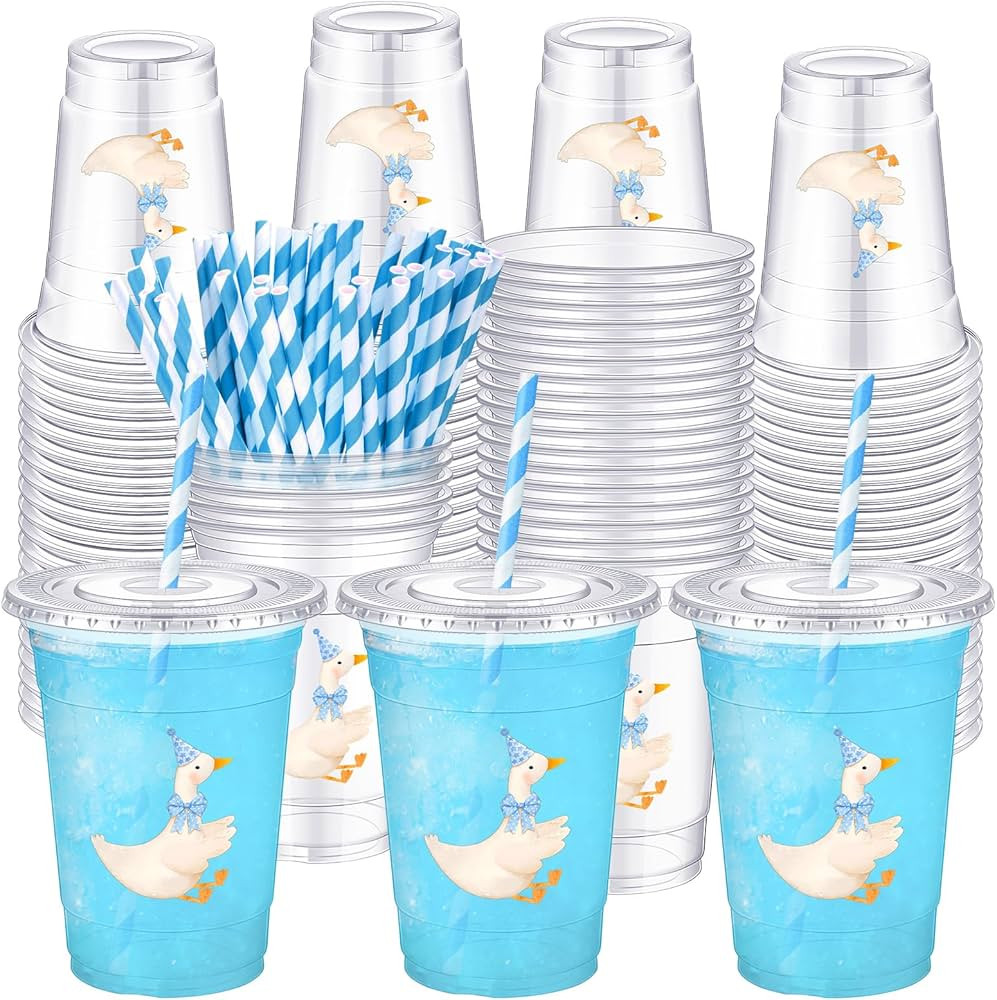 50 Pack One Silly Goose Birthday Party Disposable Plastic Cups with Lids Straws 16 oz Cute Goose ... | Amazon (US)