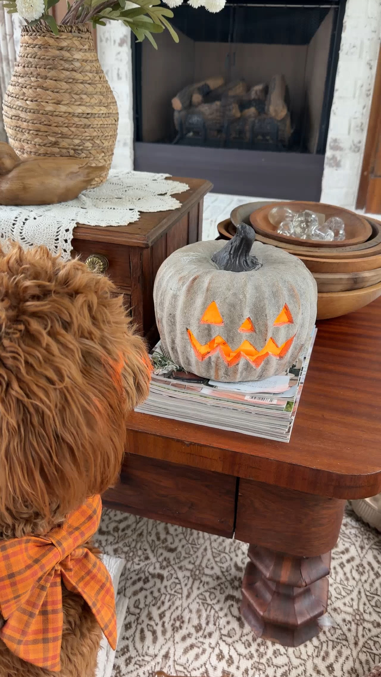 This is one of my favorite Jack-O-Lanterns I have picked up so far for the upcoming Fall season.  

 #LTKSeasonal #LTKHome