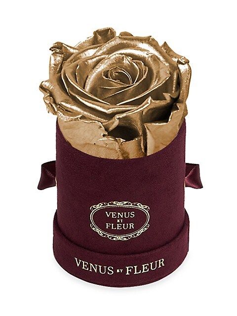 Venus ET Fleur Mini Round Suede Eternity Rose® | Saks Fifth Avenue