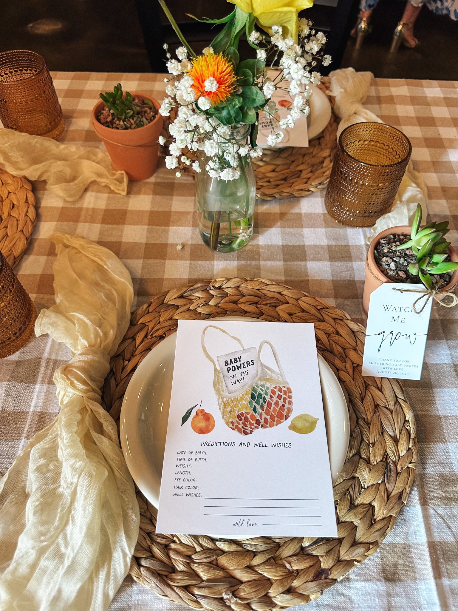 Locally grown baby shower theme, garden party, place setting, Amazon baby shower, checkered table cover, party supplies, baby boy baby shower

#LTKSeasonal #LTKparties #LTKbump