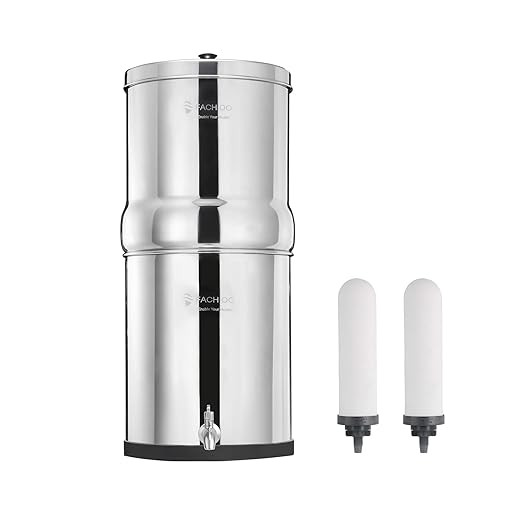 2.25 Gallon Stainless Steel Gravity-Fed Water Filter System with 2 White Ceramics Purification Wa... | Amazon (US)