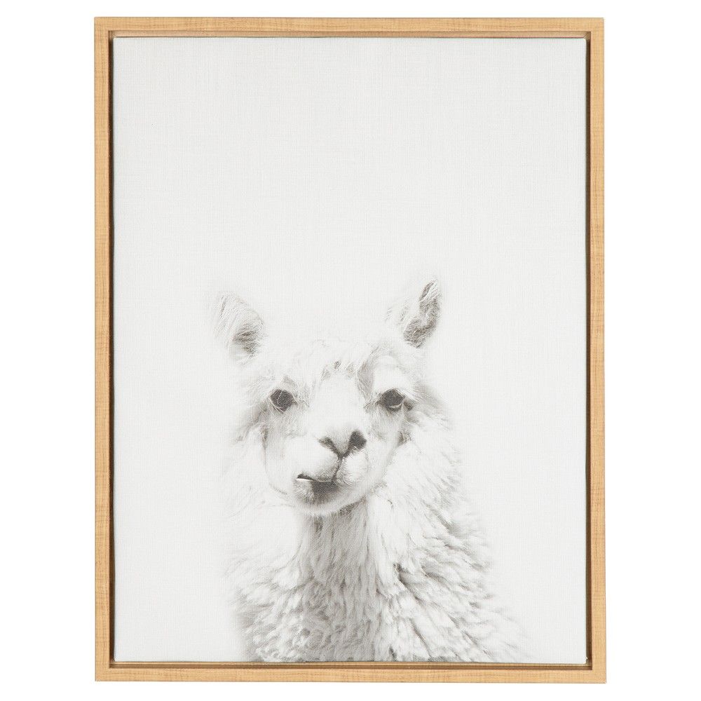 Alpaca Framed Canvas Art Natural (24""x18"") - Uniek, Adult Unisex, Brown | Target