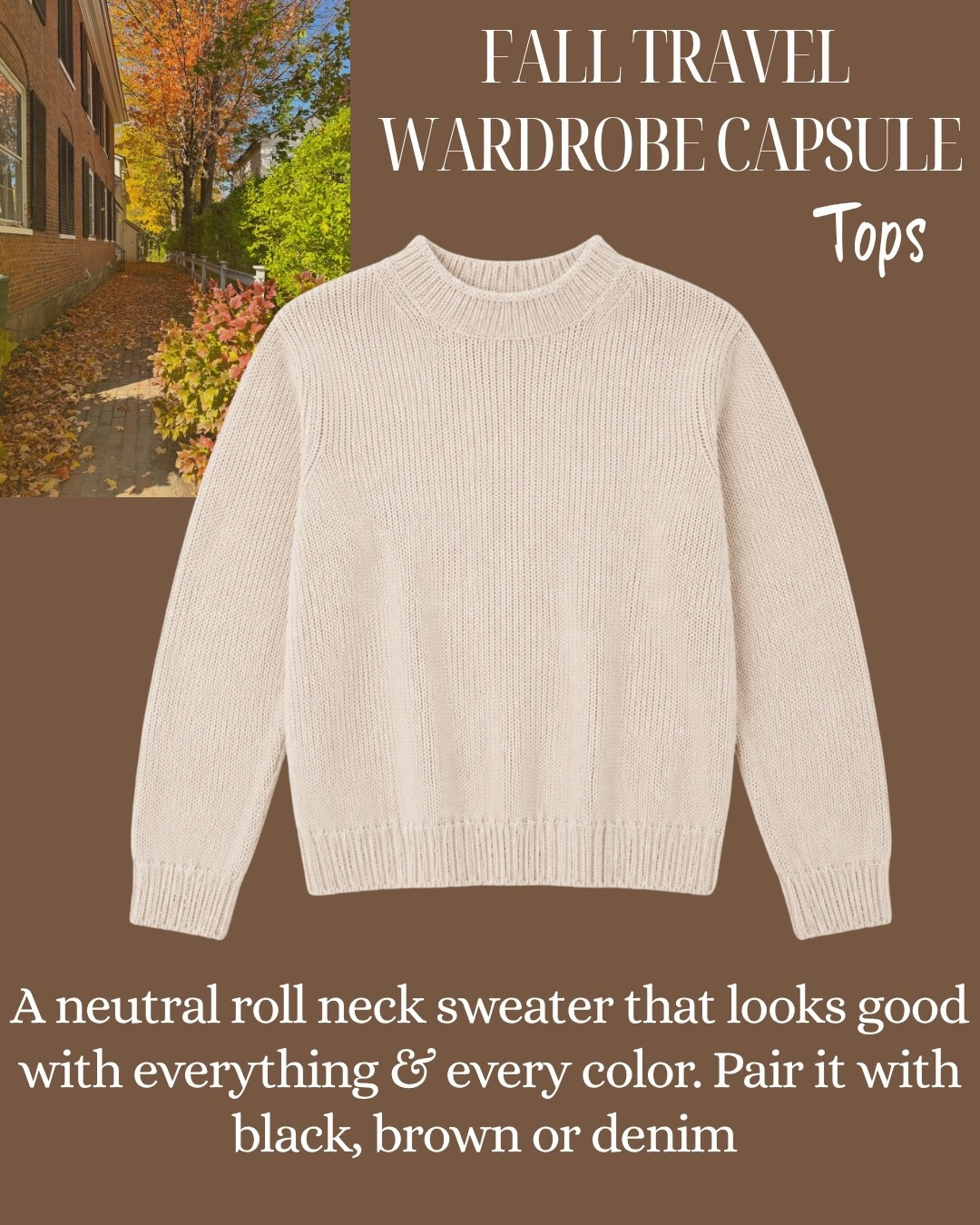 Fall Roll Neck Neutral Sweater