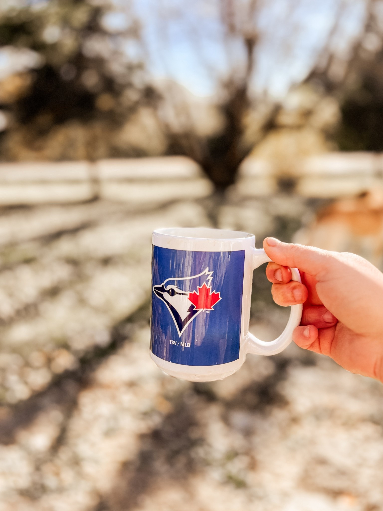 Forever a Jays fan 💙 So proud of this team!

Toronto Blue Jays mug
MLB baseball Blue Jays World Seriess