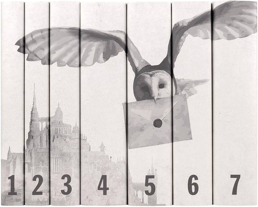 Juniper Books - Harry Potter 7 Volume Boxed Set: Castle and Owl Special Edition - Custom Designed... | Amazon (US)