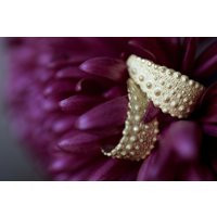 Seashell Earrings Earrings Gold-Plated, Sea Urchin Creoles, Nautical Jewelry, Organic Earrings, Shell Gold, Mermaid | Etsy (US)