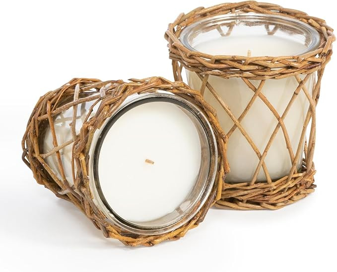 Park Hill Collection ENP10005 Willow Candle, 12 oz (Homemade Lemonade) | Amazon (US)
