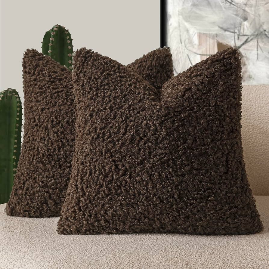 Foindtower 2 Pieces 24x24 Inch Dark Brown, Faux Fur Throw Pillow Cover Accent Sherpa Furry Pillow... | Amazon (US)