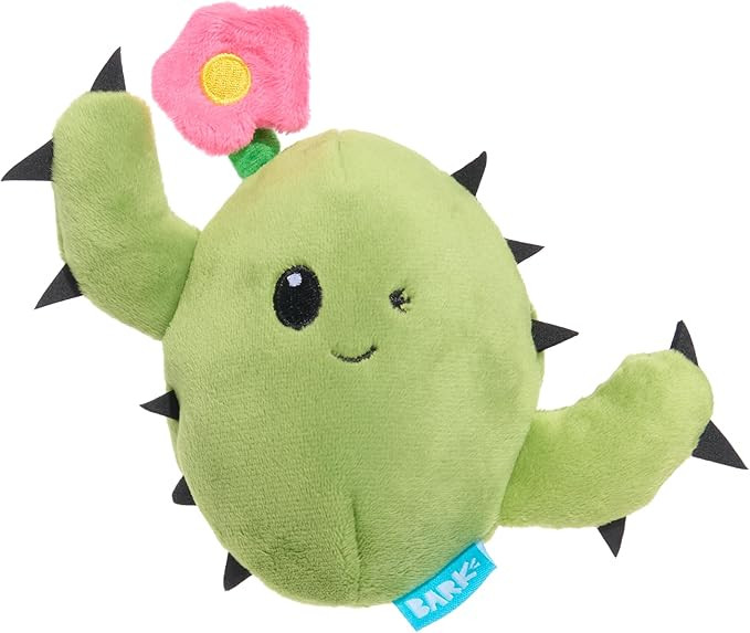 Barkbox Consuela the Cactus 2-in-1 Interactive Plush Dog Toy - Squeaky Dog Chew Toy with Crinkle ... | Amazon (US)