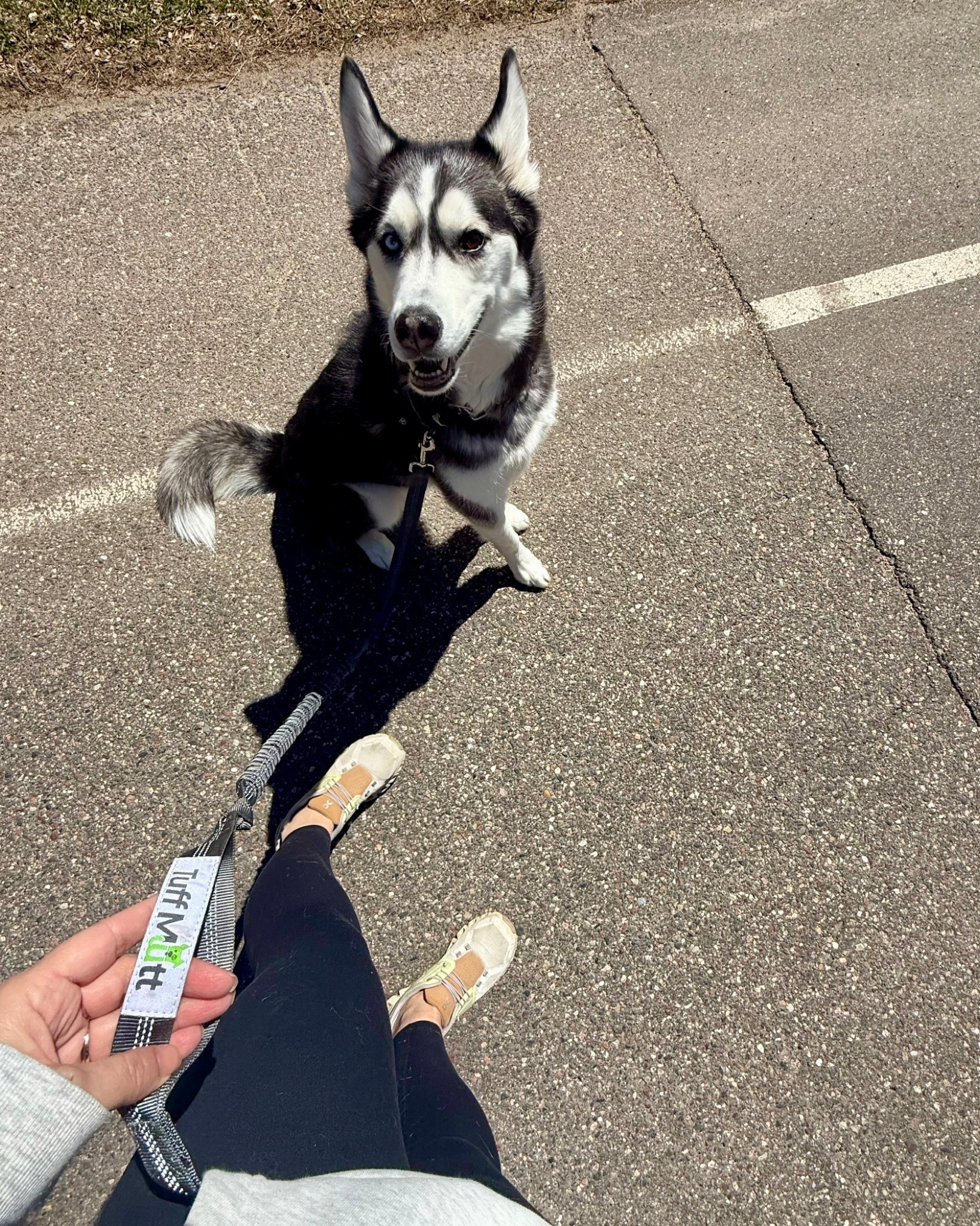 FAVORITE hands free dog leash!

#LTKActive #LTKmomlife #LTKOver40