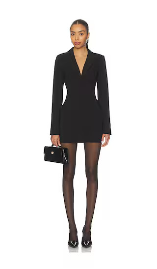 Nevina Mini Dress in Black | Revolve Clothing (Global)
