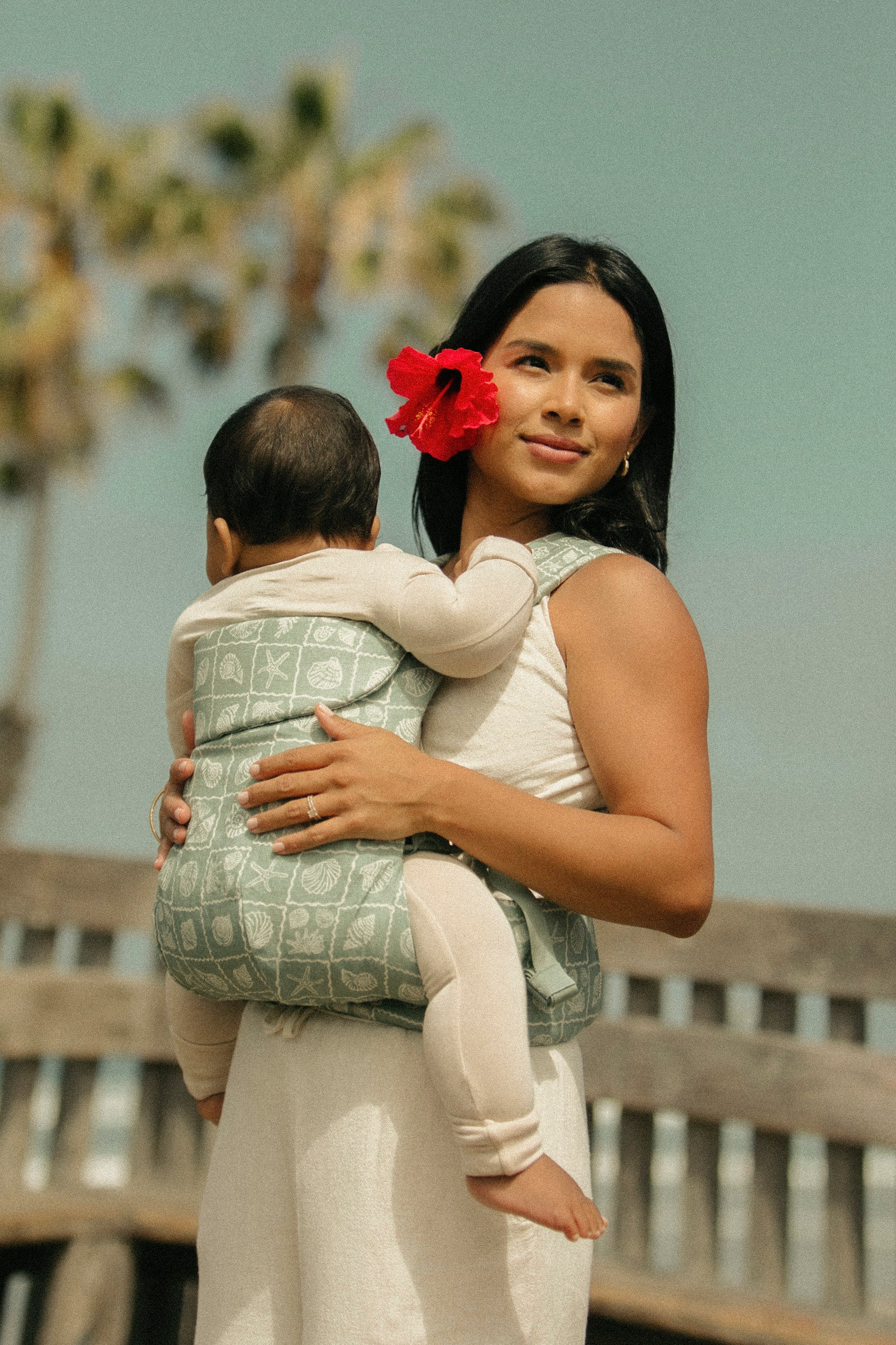 Coastal - Aerial Carrier | Wildbird