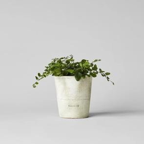 Basic Planter, White Patina | Bloomist