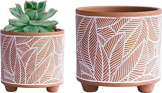 Set of 2 Terracotta Planter Pots, 4.4 Inch & 6.4 Inch, Leaves Pattern Plants Pot with Drainage Ho... | Amazon (US)