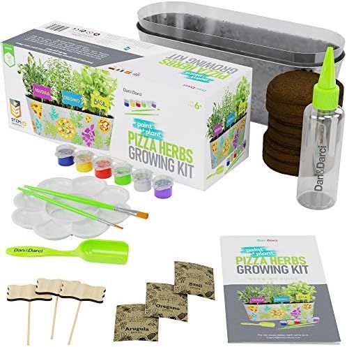 Paint & Plant Pizza Herb Growing Kit for Kids - STEM Activities Gift for Children, Boys & Girls A... | Amazon (US)