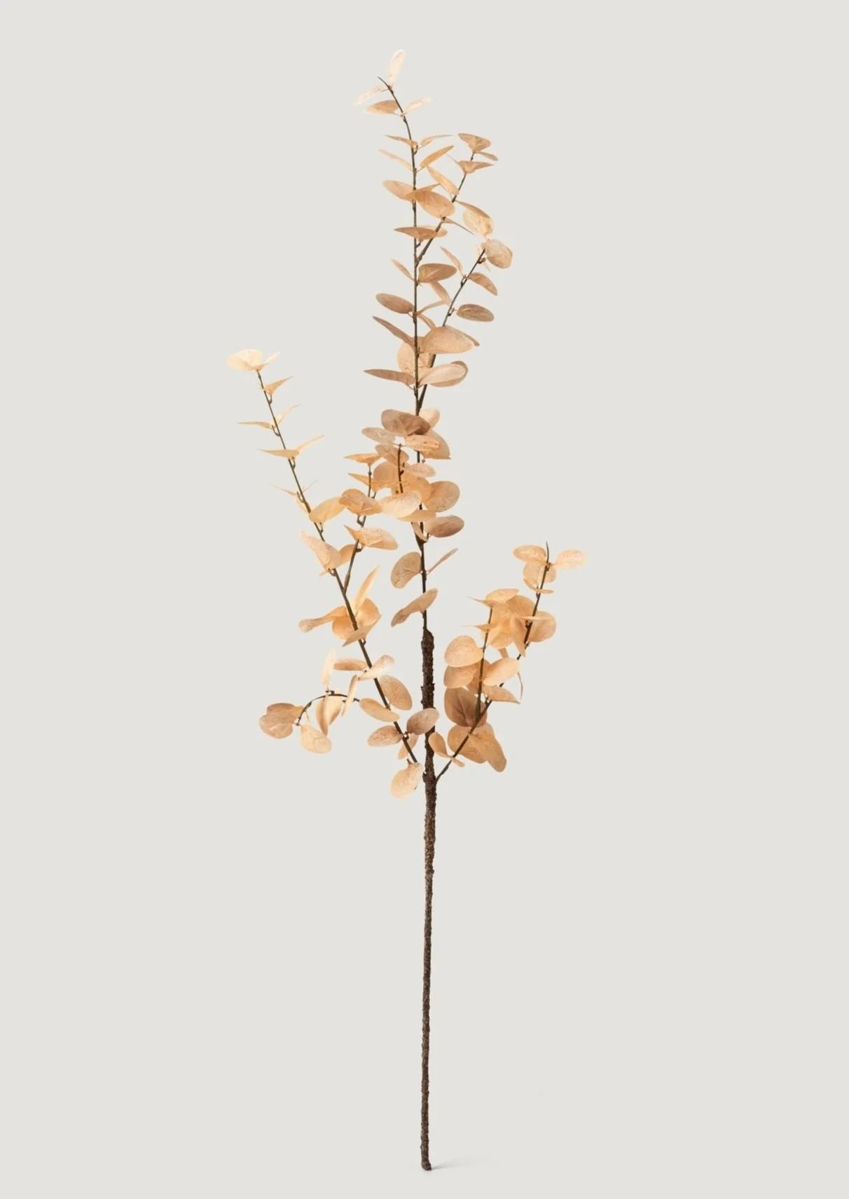 Faux Eucalyptus Branch in Mocha - 35" | Afloral