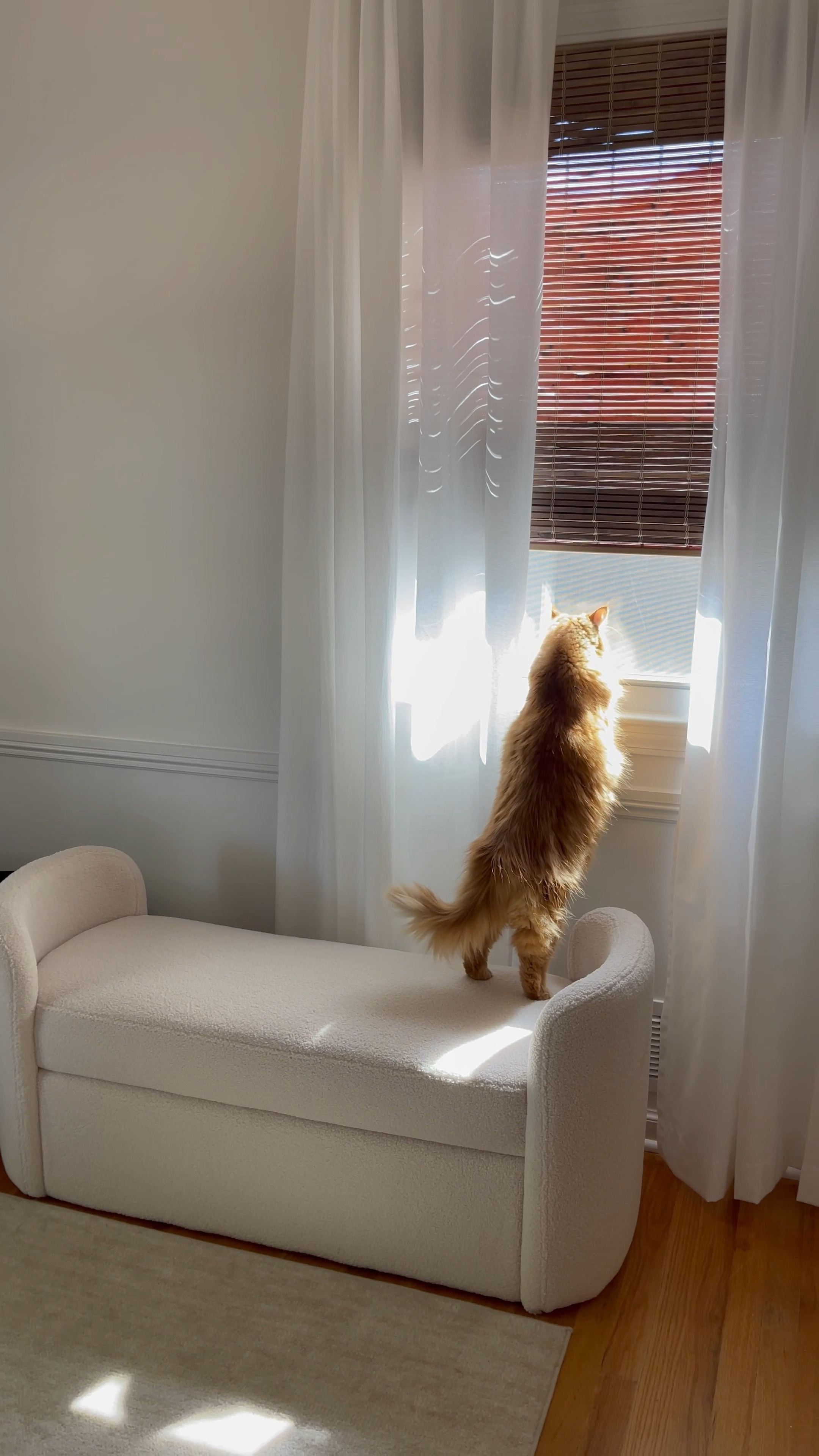 Run do not walk this ottoman is perfect in my dressing room and only $200!

#LTKhome